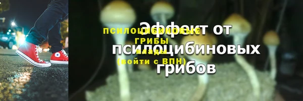 spice Бронницы