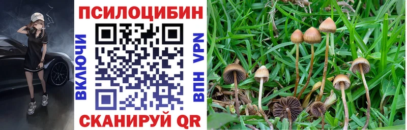 Галлюциногенные грибы Magic Shrooms Купить Яхрома